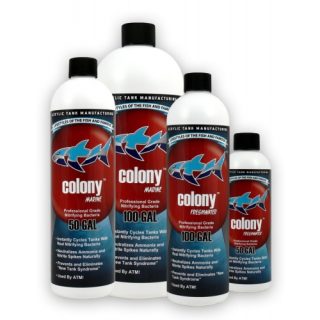 COLONY 240 ML. BACTERIAS PARA MARINO
