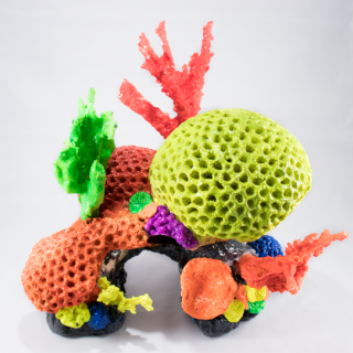 Coral cachos partes sueltas