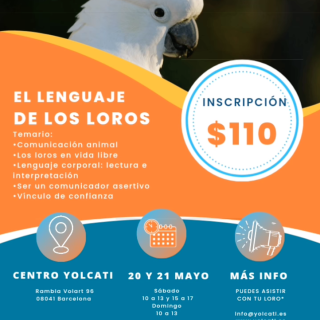 BARCELONA. Lenguaje corporal en psitácidos