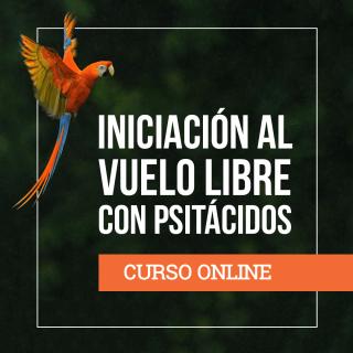 Curso Online Vuelo Libre