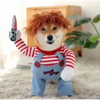 Disfraz de Halloween para Perro: ¡’Mini Chucky’ Asesino! (3 Piezas)