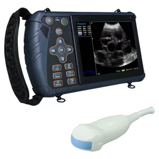 Ecógrafo Portátil DAWEI B-Ultra VET | Sonda Microconvexa 5.0 MHz y Diseño Anticaídas