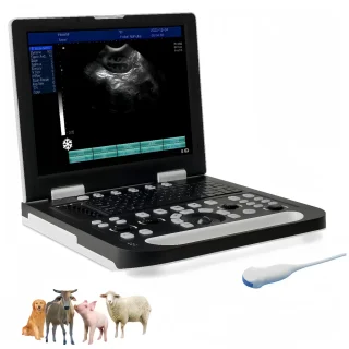 Ecógrafo Veterinario Portátil 15″ HD | Incluye Sonda Microconvexa 6.5 MHz | Multiespecie para Perros y Ganado