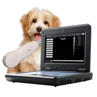 Ecógrafo Veterinario Portátil CONTEC para Perros y Gatos | Sonda Micro Convexa 3.5 MHz y Pantalla 10.1″