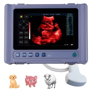 Ecógrafo Veterinario Portátil Táctil 8″ HD | Incluye Sonda Convexa 3.5 MHz | Batería Récord 8 Horas