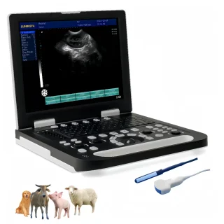 Ecógrafo Veterinario Portátil con Sonda Lineal | Ultrasonido para Ganado y Animales Grandes
