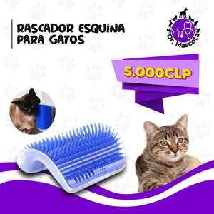 Rascador Esquinero para Gatos