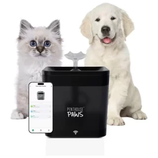 Fuente de Agua Inteligente WiFi 2.2 Litros Control App y Diseño Transparente