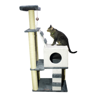 Gimnasio Doble Escalera