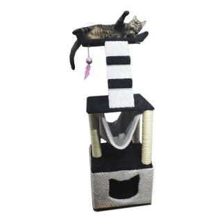 Gimnasio Base Cajón