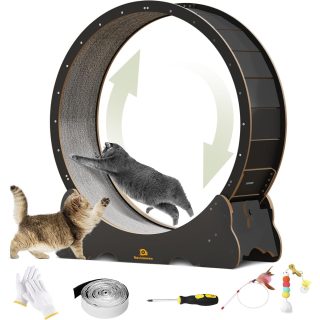Rueda de Ejercicios para Gatos 114x120x36 Cm