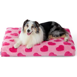 Cama Ortopédica con Funda Extraíble Diseño Corazones 88x55x10 Cm