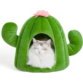 Casa Iglú Cactus para Mascotas 40x44x45 Cm