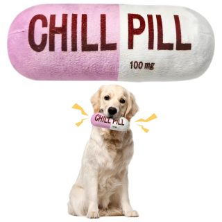 Peluche Píldora Chirriante para Perros de 20 Cm