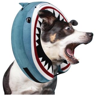 Collar Isabelino Inflable Diseño Tiburón para Perros