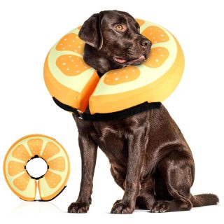 Collar Isabelino Inflable Diseño Naranja para Perros XL