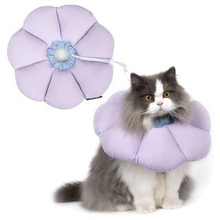 Collar Isabelino Diseño Flor para Mascotas L