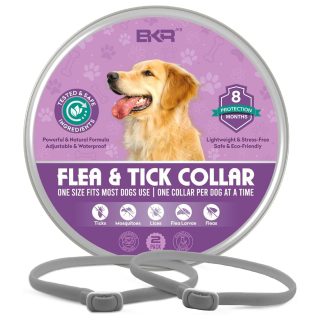 2 Collares Antipulgas y Garrapatas para Perros