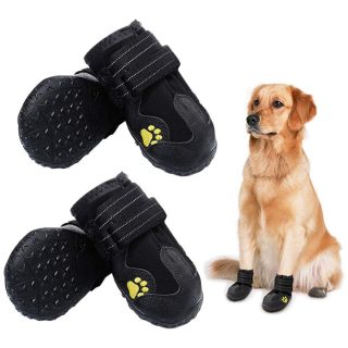 Botas Impermeable de Lluvia para Perros