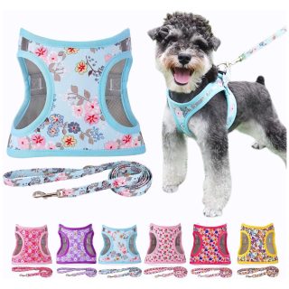 Arnés de Malla Acolchada Reflectante con Correa para Mascotas