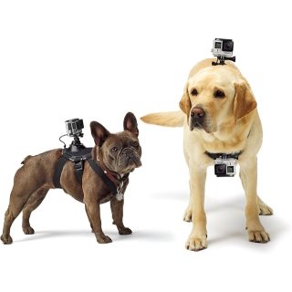 Arnés para Perro Soporte Doble Cámara GoPro