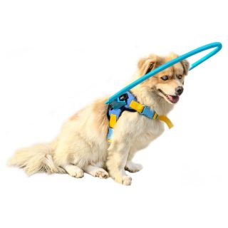 Arnés Protector con Halo para Perros Ciegos