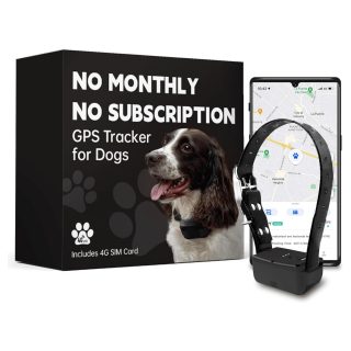 Rastreador GPS para Perros Sin Suscripción – Sin Tarifa Mensual
