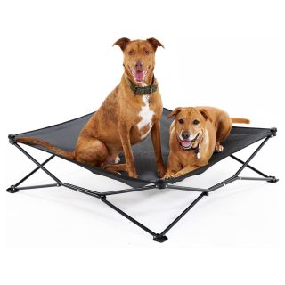Cama Transpirable Elevada Plegable para Mascotas