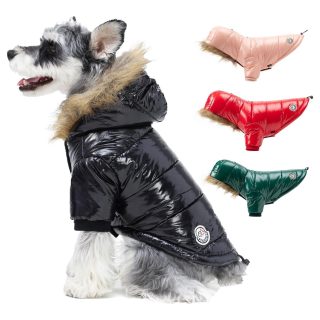 Chaleco Impermeable con Capucha de Invierno para Mascota