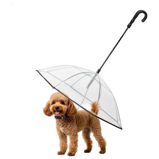 Paragua Transparente con Correa para Mascotas