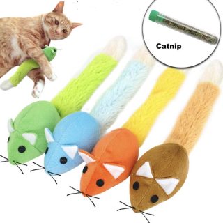 Ratón con Catnip