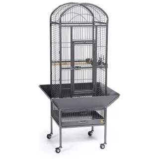 Jaula de Domo de Hierro Forjado para Loros y Cacatúas de 45x45x137 Cm