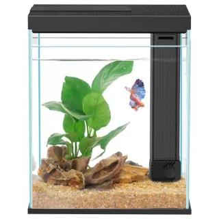 Kit Acuario 2 Galones (15x21x28 cm) – Pecera de Cristal Betta/Camarón con Luz LED Temporizada y Filtro V2