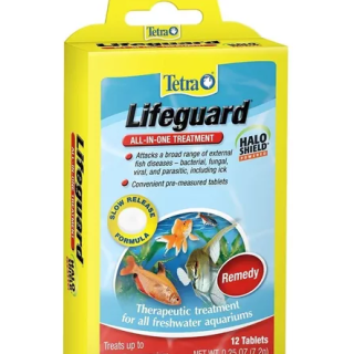Lifeguard x 12