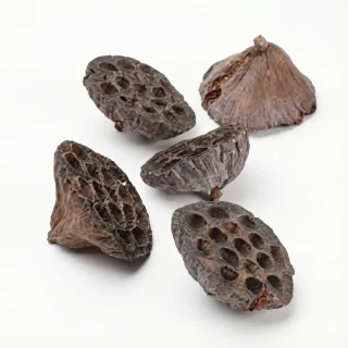 Loto seco mini (5 ud)