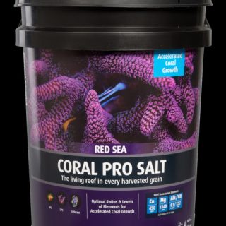 RED SEA CORAL PRO SALT CUBO 22 KG