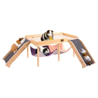 Plataforma de Ejercicio Grande para Cuy (60×33 cm) | Hamaca 2 en 1, Escaleras Seguras y Diseño Plegable