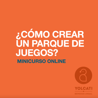 CÓMO CREAR UN PARQUE DE JUEGOS PARA MI LORO – MINICURSO ONLINE