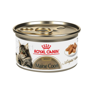 Royal Canin Maine Coon Adult Lata 85 gr