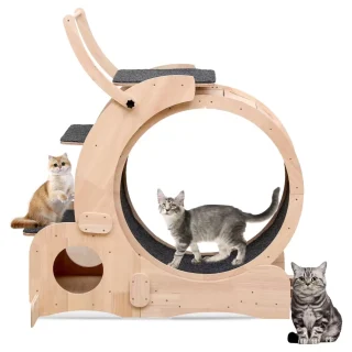 Rueda de Ejercicio 7 en 1 para Gatos – 88x34x125 cm