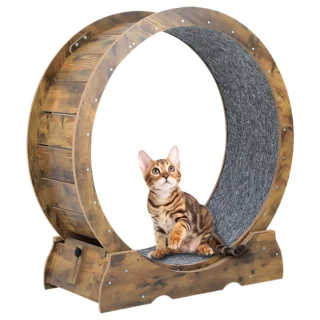 Rueda de Ejercicio XL para Gatos – 37x90x94 cm