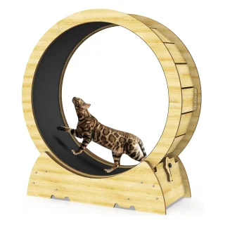 Rueda de Ejercicio para Gatos – 36x90x102 cm