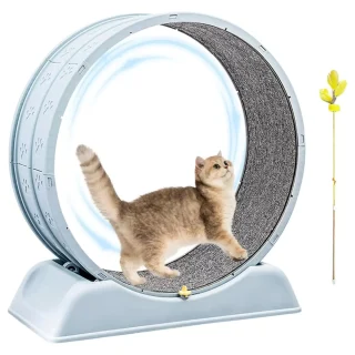 Rueda de Ejercicio para Gatos Pequeños 34x78x83 cm