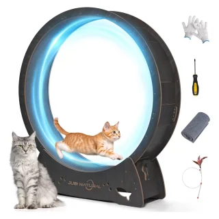 Rueda de Ejercicio para Gatos Silenciosa