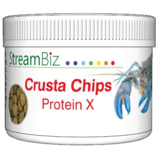 STREAM BIZ CRUSTA CHIPS PROTEIN X 40 GR.