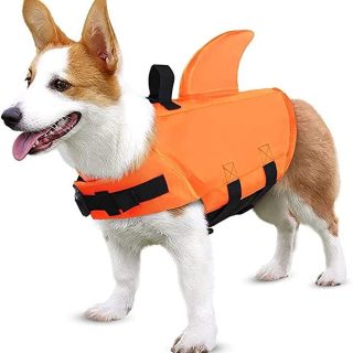 Chaleco salvavidas para mascotas (aleta de tiburón)