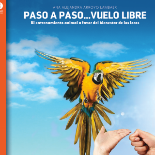 Paso a paso… vuelo libre