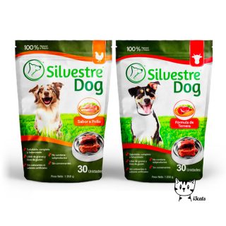 Silvestre Dog