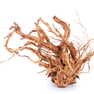 RAIZ ROJA TWINSTER L