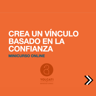 CREA UN VÍNCULO BASADO EN LA CONFIANZA (con tu loro) – MINICURSO ONLINE